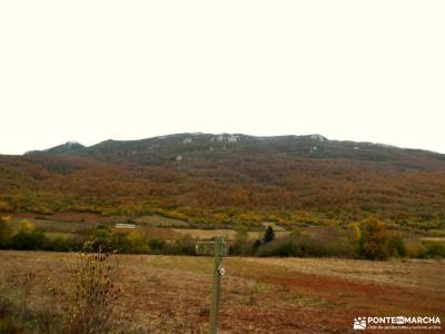 Hayedos Rioja Alavesa-Sierra de Toloño;comarca de babia cuchillos de contreras cañon de rio lobos ru